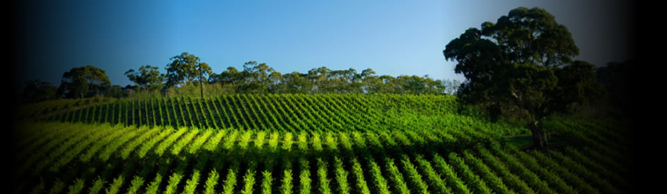 We look forward to talking with you